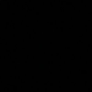 Meet your Posher, Lily